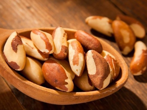 полезные и лечебные свойства бразильского ореха