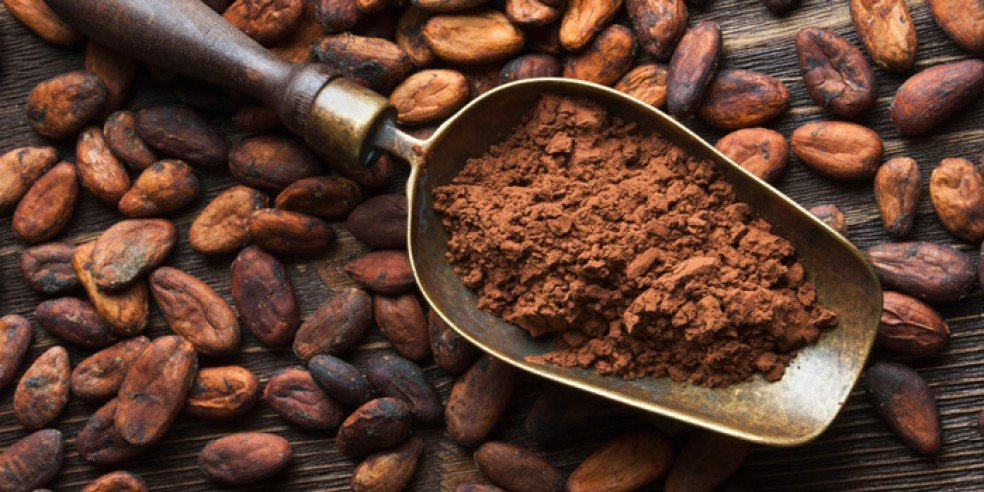 применения порошка-какао