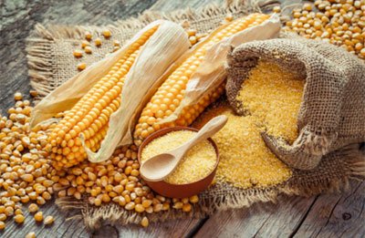состав и виды кукурузной муки