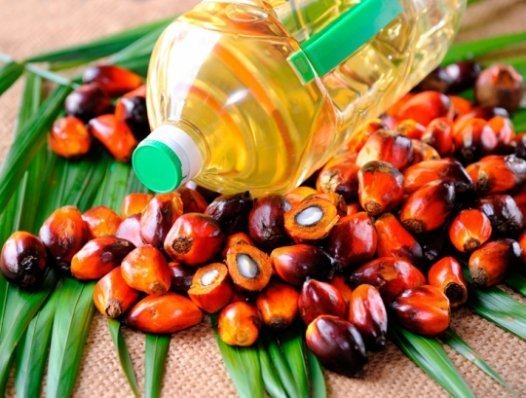 свойства пальмового масла