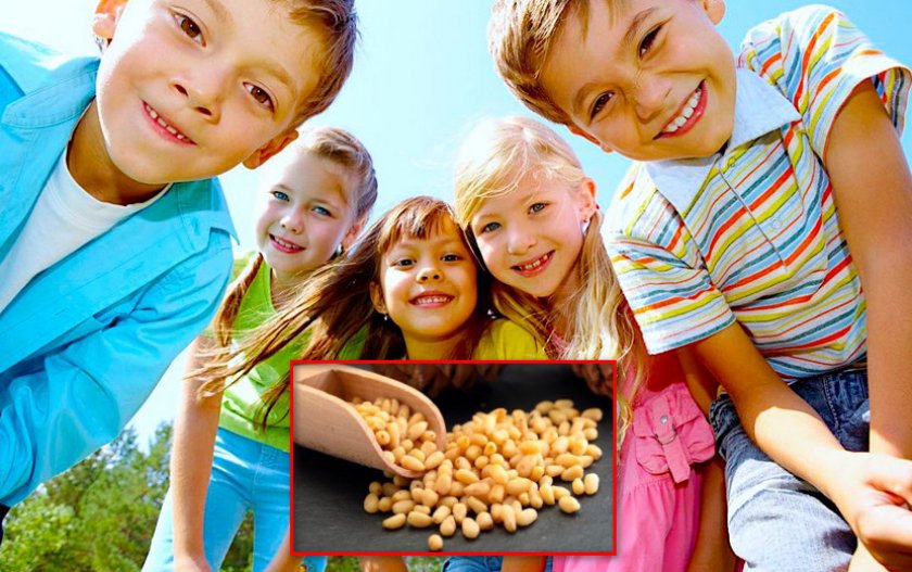 Дети и кедровые орехи